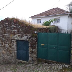 Pequena Quinta / venda / Sarzedo / Moimenta da Beira