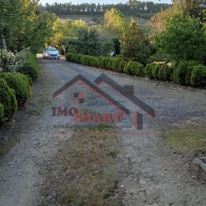 Quinta / venda / Caria / Moimenta da Beira