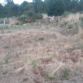 Terreno para construção / Castelo / Moimenta da Beira