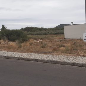 Lote para construção / VENDA / Alto do Facho / Moimenta da Beira