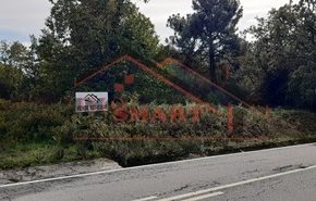 Terreno rústico / VENDA / Leomil / Moimenta da Beira