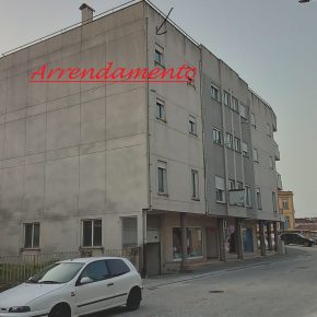 Apartamento T3 / ARRENDAMENTO / Moimenta da Beira