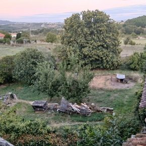 Terreno para construção / VENDA / Leomil / Moimenta da Beira.